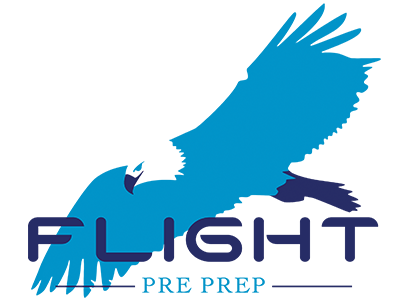 Logo FlightPrePrep
